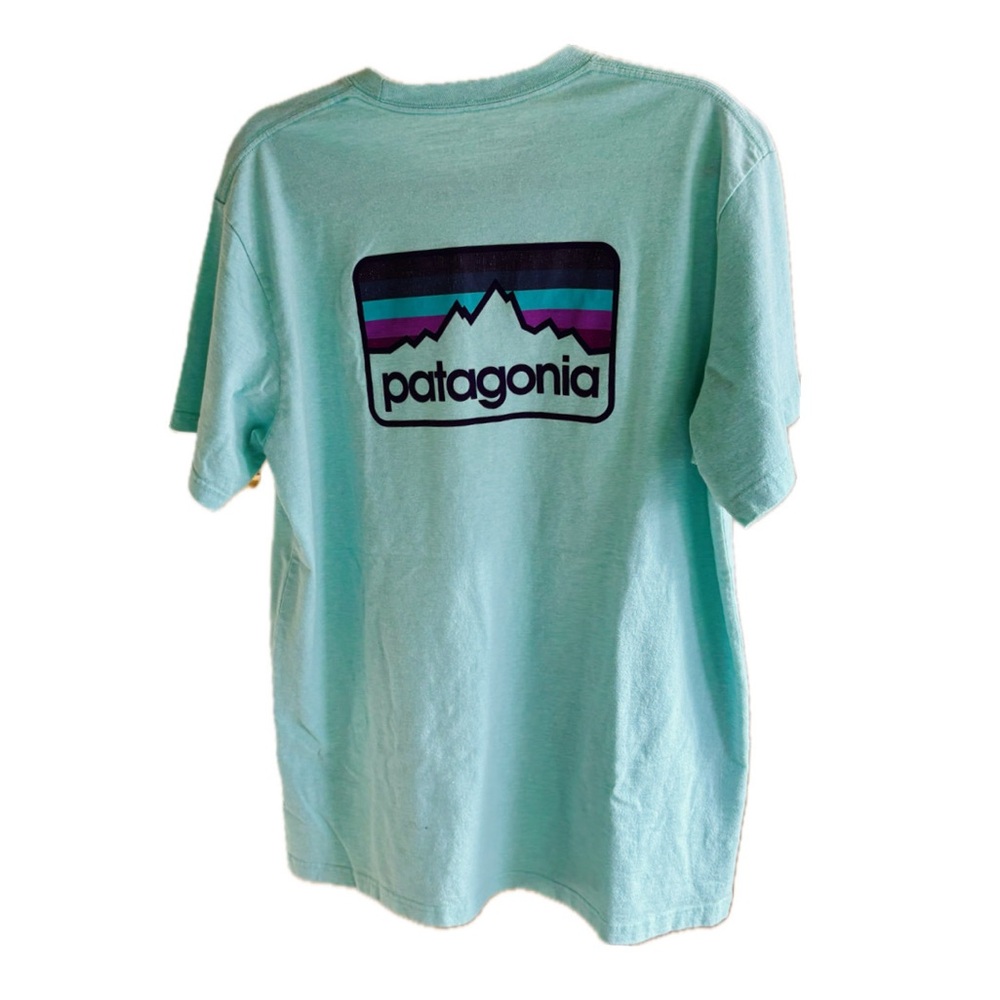 Patagonia Men's Mint Green T-Shirt XL NWOT